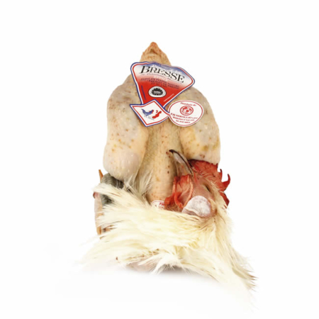 Pollo di Bresse AOC femmina